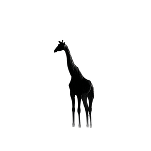 Giraffe Silhouette Vinyl Car Decal Sticker – Waterproof & UV-Resistant 3.4133333333333336"