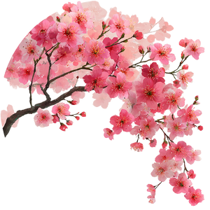 Cherry Blossom Outline Vinyl Car Decal Sticker – Waterproof & UV-Resistant 6.826666666666667"
