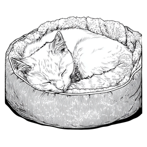 Sleeping Cat V50 Vinyl Car Decal Sticker – Waterproof & UV-Resistant 3.4133333333333336"