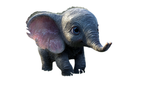 Baby Elephant Closeup Vinyl Car Decal Sticker – Waterproof & UV-Resistant 5.4