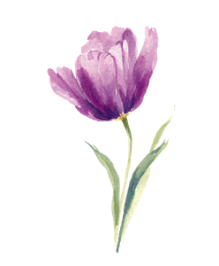 Purple Butterfly Tulip Vinyl Car Decal Sticker – Waterproof & UV-Resistant 8.0"