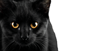 Black Cat Halloween V5 Vinyl Car Decal Sticker – Waterproof & UV-Resistant 2.72"