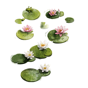 Whimsical Water Lilies Vinyl Car Decal Sticker – Waterproof & UV-Resistant 6.826666666666667"