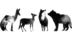Animal Silhouette Watercolor Vinyl Car Decal Sticker – Waterproof & UV-Resistant 2.72"