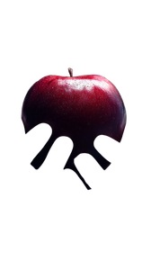 Hands Holding Apple Vinyl Car Decal Sticker – Waterproof & UV-Resistant 9.706666666666667"