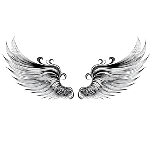 Graphic Angel Wings Vinyl Car Decal Sticker – Waterproof & UV-Resistant 6.826666666666667"