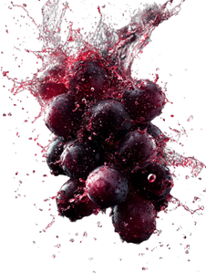 Exploding Wine Grapes Vinyl Car Decal Sticker – Waterproof & UV-Resistant 8.213333333333333"