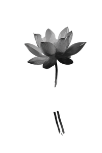 Lotus Flower Painting V2 Vinyl Car Decal Sticker – Waterproof & UV-Resistant 8.96"