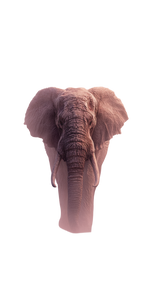 Ethereal Elephant Vinyl Car Decal Sticker – Waterproof & UV-Resistant 10.2