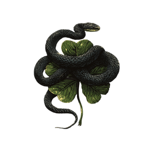 Clover Snake Vector Vinyl Car Decal Sticker – Waterproof & UV-Resistant 3.4133333333333336" Clover Snake Vector Vinyl Car Decal Sticker – Waterproof & UV-Resistant 3.4133333333333336"