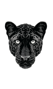 Leopard Pattern Silhouette Vinyl Car Decal Sticker – Waterproof & UV-Resistant 9.49333333333333