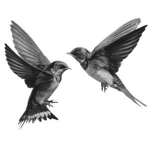 Swallows In Flight V7 Vinyl Car Decal Sticker – Waterproof & UV-Resistant 3.4133333333333336"