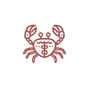 Oncologist Crab Logo Vinyl Car Decal Sticker – Waterproof & UV-Resistant 6.826666666666667"