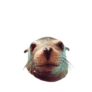 Human-Faced Sea Lion Vinyl Car Decal Sticker – Waterproof & UV-Resistant 3.4133333333333336"