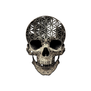 Skull With Flower Vinyl Car Decal Sticker – Waterproof & UV-Resistant 6.826666666666667"