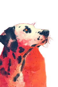 Dalmatian Watercolor Poster Vinyl Car Decal Sticker – Waterproof & UV-Resistant 8.96"