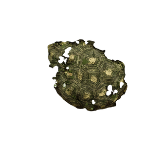 Turtle Shell Camouflage Vinyl Car Decal Sticker – Waterproof & UV-Resistant 3.4133333333333336" Turtle Shell Camouflage Vinyl Car Decal Sticker – Waterproof & UV-Resistant 3.4133333333333336"