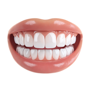 Smiling Teeth Close-Up V2 Vinyl Car Decal Sticker – Waterproof & UV-Resistant 3.4133333333333336"
