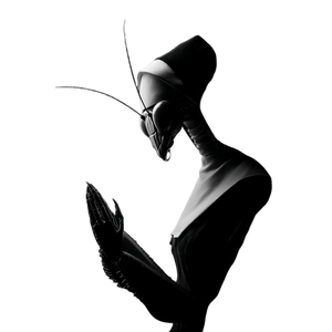 Praying Mantis Nun Vinyl Car Decal Sticker – Waterproof & UV-Resistant 3.4133333333333336"