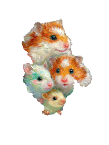 Animals In Bloom Vinyl Car Decal Sticker – Waterproof & UV-Resistant 4.1066666666666665"