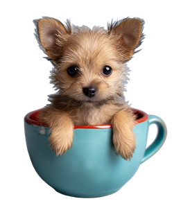 Puppy In Teacup Vinyl Car Decal Sticker – Waterproof & UV-Resistant 8.0"