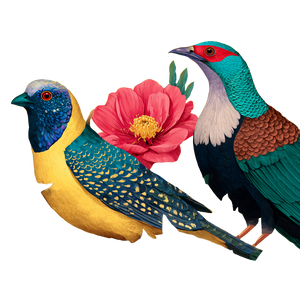 Exotic Birds Illustration Vinyl Car Decal Sticker – Waterproof & UV-Resistant 3.4133333333333336"