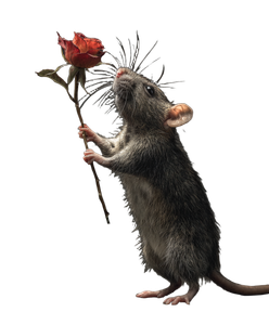 Rat Giving Rose Vinyl Car Decal Sticker – Waterproof & UV-Resistant 8.0"