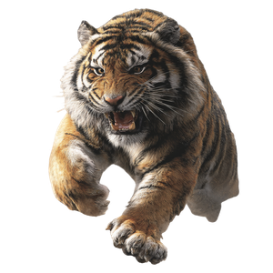 Roaring Tiger Tattoo V10 Vinyl Car Decal Sticker – Waterproof & UV-Resistant 6.826666666666667"