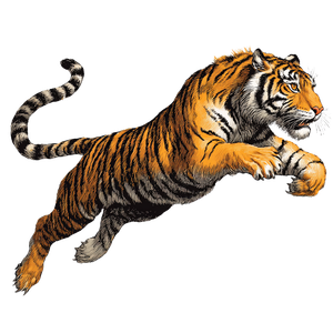 Jumping Tiger Logo Vinyl Car Decal Sticker – Waterproof & UV-Resistant 3.4133333333333336"
