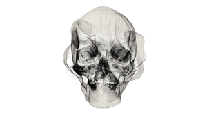 Abstract Skull Art V3 Vinyl Car Decal Sticker – Waterproof & UV-Resistant 5.4
