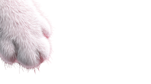 White Cat Paw V2 Vinyl Car Decal Sticker – Waterproof & UV-Resistant 5.4
