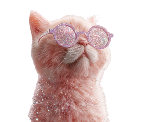 Pink Cat Sunglasses V2 Vinyl Car Decal Sticker – Waterproof & UV-Resistant 3.2"