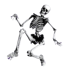Silly Dancing Skeleton Vinyl Car Decal Sticker – Waterproof & UV-Resistant 3.4133333333333336"