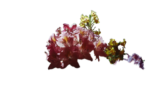 Bouquet Of Flowers V3 Vinyl Car Decal Sticker – Waterproof & UV-Resistant 6.1866666666666665"