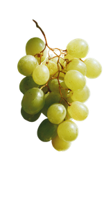 Glass Grapes Sparkle Vinyl Car Decal Sticker – Waterproof & UV-Resistant 10.2