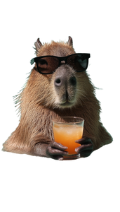 Capybara In Pool Vinyl Car Decal Sticker – Waterproof & UV-Resistant 4.8533333333333335"