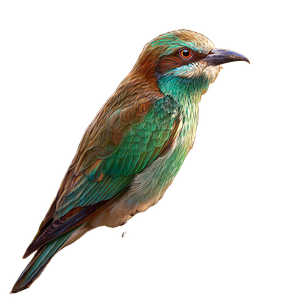 Israeli Bird Perched Vinyl Car Decal Sticker – Waterproof & UV-Resistant 3.4133333333333336"