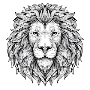 Lion Head Illustration V3 Vinyl Car Decal Sticker – Waterproof & UV-Resistant 3.4133333333333336"