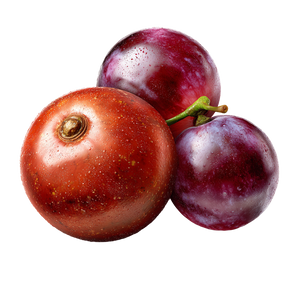 Guarana And Grapes Vinyl Car Decal Sticker – Waterproof & UV-Resistant 6.826666666666667"