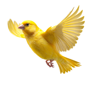 Flying Yellow Canary Vinyl Car Decal Sticker – Waterproof & UV-Resistant 3.4133333333333336"