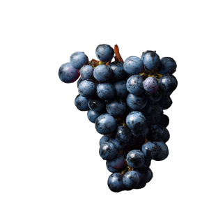 Bunch Of Grapes V5 Vinyl Car Decal Sticker – Waterproof & UV-Resistant 6.826666666666667"