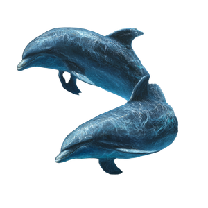 Realistic Dolphins Vinyl Car Decal Sticker – Waterproof & UV-Resistant 6.826666666666667"