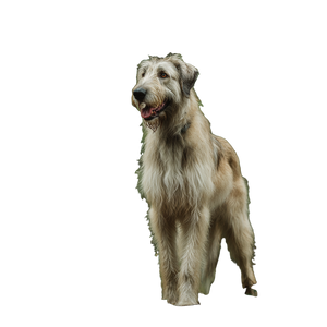 Giant Irish Wolfhound Vinyl Car Decal Sticker – Waterproof & UV-Resistant 3.4133333333333336"