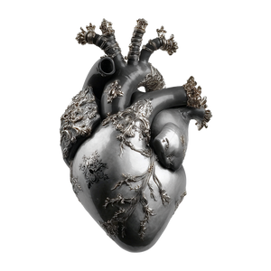 Tattooed Anatomical Heart Vinyl Car Decal Sticker – Waterproof & UV-Resistant 6.826666666666667"