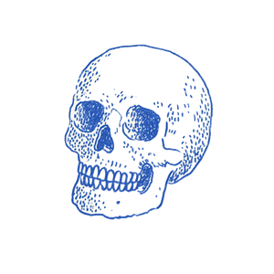 Skull V3 Vinyl Car Decal Sticker – Waterproof & UV-Resistant 3.4133333333333336"