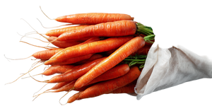 Fresh Organic Carrots Vinyl Car Decal Sticker – Waterproof & UV-Resistant 2.56"