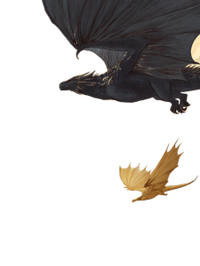Dragon Flight Duo V3 Vinyl Car Decal Sticker – Waterproof & UV-Resistant 8.213333333333333"