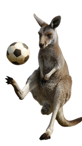 Juggling Kangaroo Vinyl Car Decal Sticker – Waterproof & UV-Resistant 9.706666666666667"