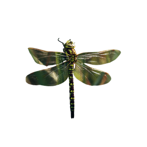 Dragonfly Resting Vinyl Car Decal Sticker – Waterproof & UV-Resistant 3.4133333333333336"