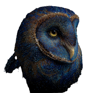 Stellar Owl Silhouette Vinyl Car Decal Sticker – Waterproof & UV-Resistant 3.4133333333333336"